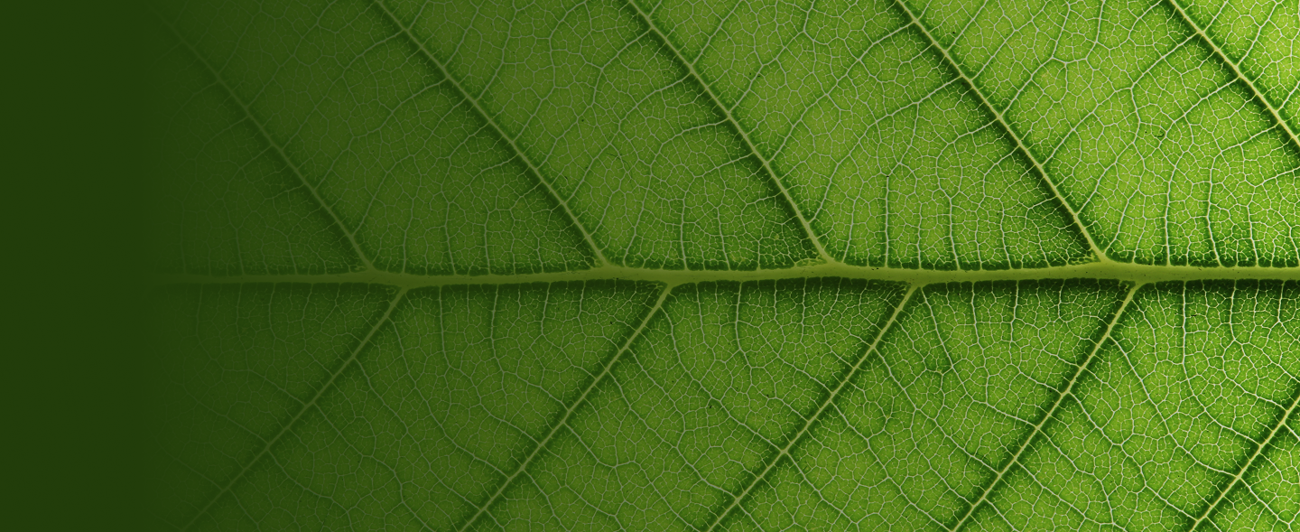 Construction Site Barricading