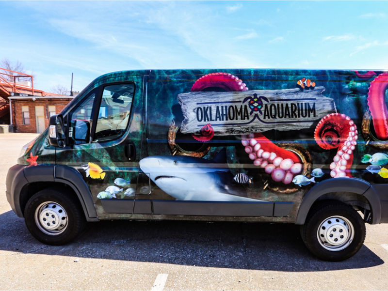 Vehicle Wrapping Services